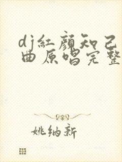 dj红颜知己歌曲原唱完整版