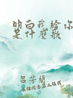 明白我给你的爱是什么歌