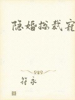 隐婚总裁宠上天