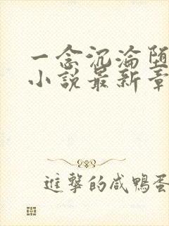 一念沉沦堕欲乡小说最新章节更新时