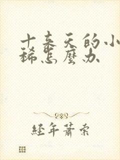 十来天的小猪拉稀怎么办