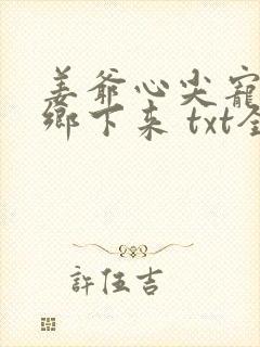 姜爷心尖宠她从乡下来 txt全本