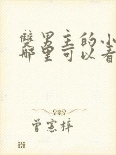 双男主的小说在哪里可以看