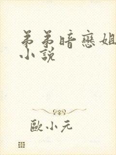弟弟暗恋姐姐的小说