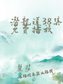 潜龙道38集全免费播放