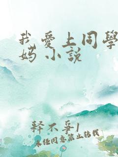 我爱上同学的妈妈 小说