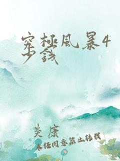 究极风暴4 多少钱