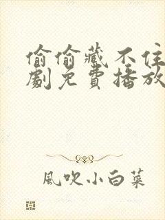 偷偷藏不住电视剧免费播放西瓜网