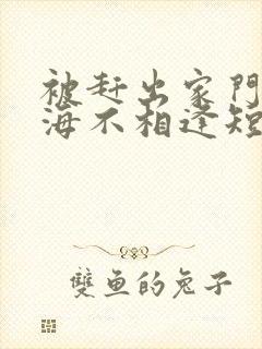 被赶出家门后山海不相逢短剧免费版