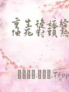 重生后嫁给渣男他死对头热播短剧