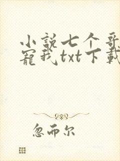 小说七个哥哥团宠我txt下载