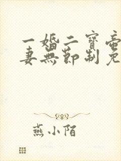 一婚二宝帝少宠妻无节制免费阅读