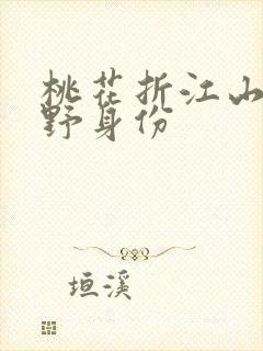 桃花折江山沈在野身份