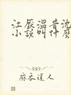 江厌温昔沈怀川小说叫什么名字