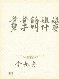 爸爸的姐姐家的儿子叫什么