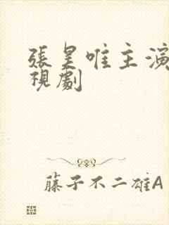 张昊唯主演的电视剧