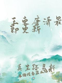 王东唐潇最新章节更新