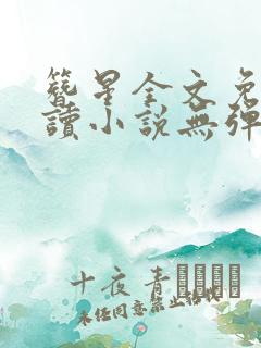 簪星全文免费阅读小说无弹窗