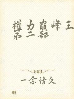 权力巅峰王洪涛第二部