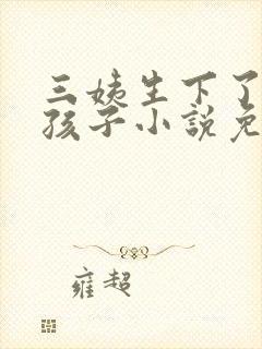 三姨生下了我的孩子小说免费阅读