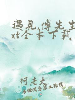 遇见,傅先生txt全本下载