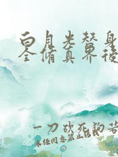 白月光替身卷哭全修真界后