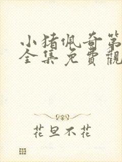 小猪佩奇第七季全集免费观看