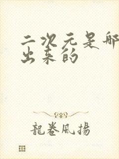 二次元是哪国搞出来的