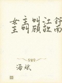 女主叫江舒棠男主叫顾政南的小说