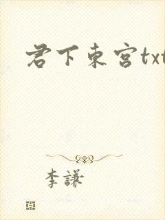 君下东宫txt