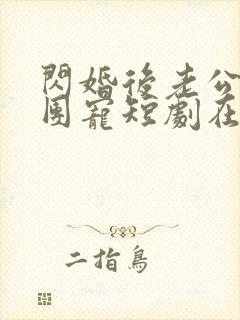 闪婚后老公全家团宠短剧在线观看