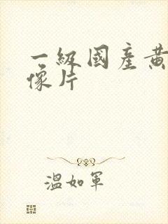 一级国产黄色录像片