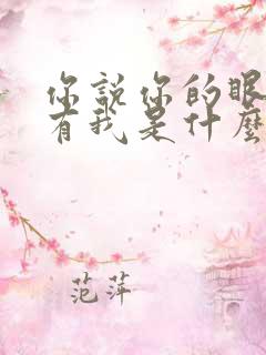 你说你的眼里只有我是什么歌