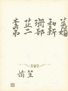 李芷珊和菜老板第二部新婚妻子