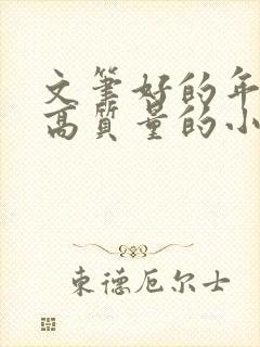 文笔好的年代文高质量的小说