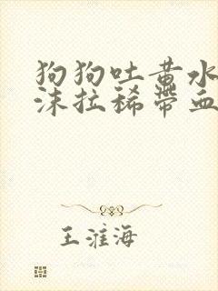 狗狗吐黄水带泡沫拉稀带血