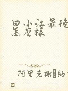 田小江最后结局怎么样