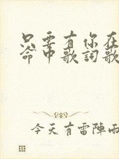 只要有你在我生命中歌词歌谱