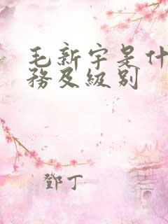 毛新宇是什么职务及级别