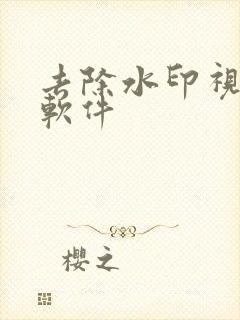 去除水印视频的软件