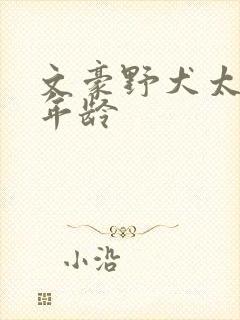 文豪野犬太宰治年龄