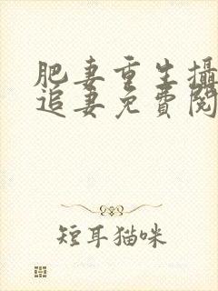 肥妻重生摄政王追妻免费阅读