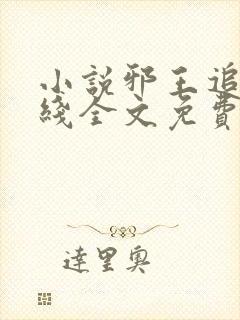 小说邪王追妻在线全文免费阅读