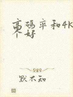 高码率和4k哪个好