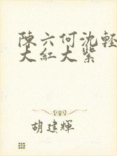 陈六何沈轻舞 大红大紫