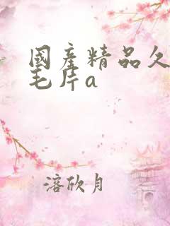 国产精品久久久毛片a