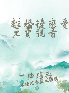 离婚后恋爱全集免费观看