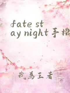 fate stay night手机版汉化下载