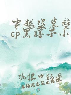 穿越盗墓双男主cp黑瞎子小说