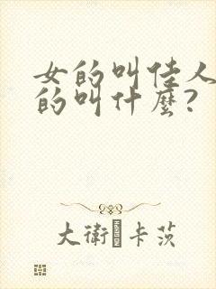 女的叫佳人,男的叫什么?